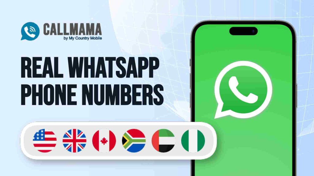 WhatsApp主要在哪些国家使用？