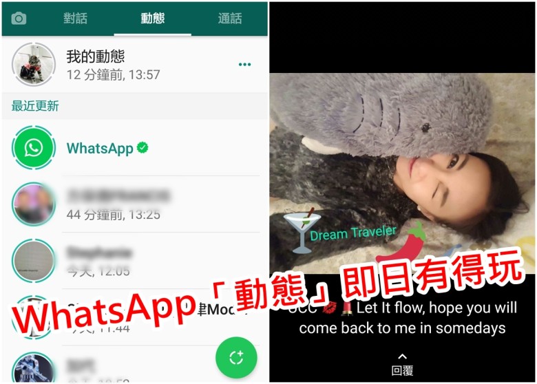 WhatsApp怎么查看动态？