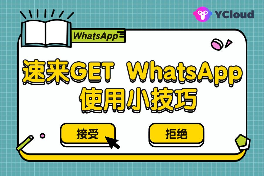 怎么设置WhatsApp头像？