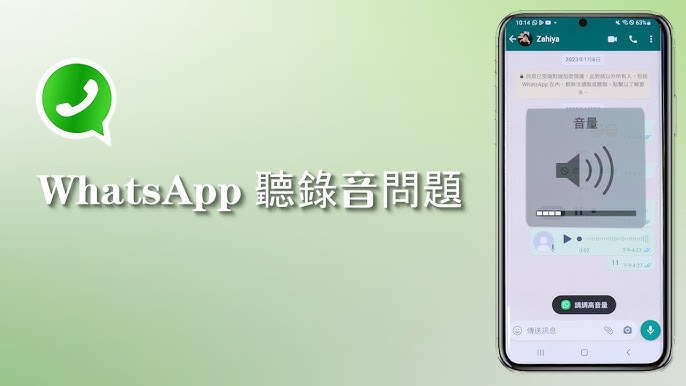 如何使用WhatsApp录音？