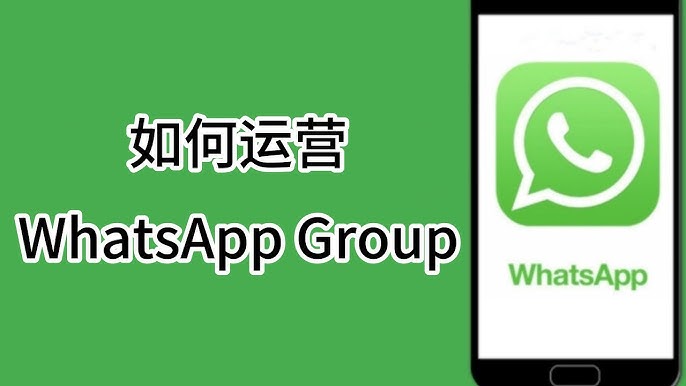 WhatsApp可以创建多少个群组？