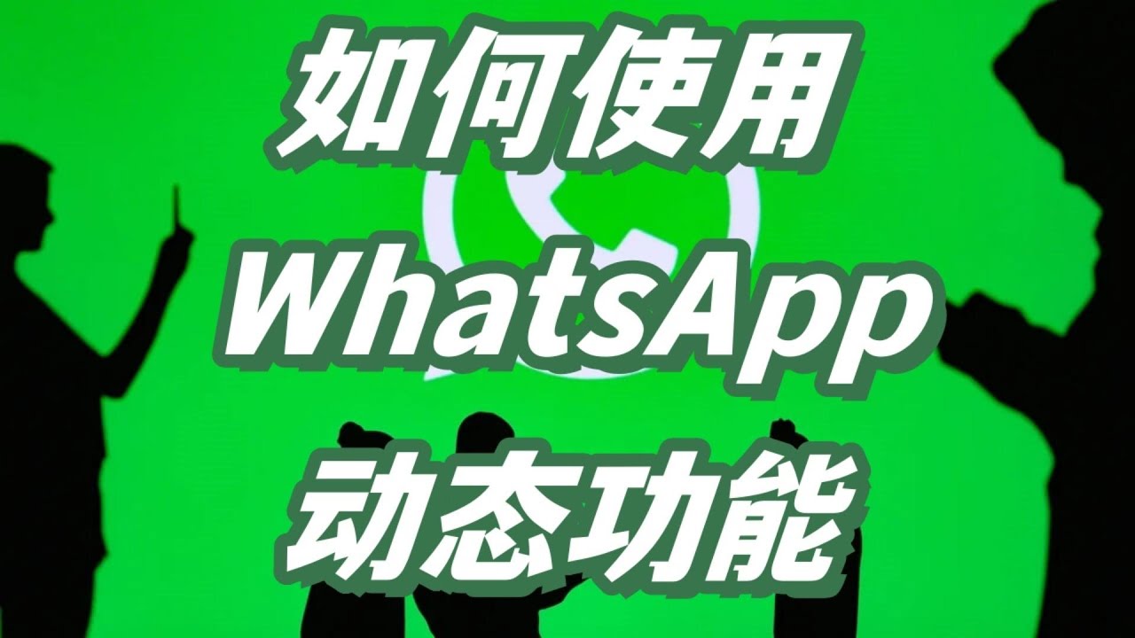 WhatsApp如何看别人的动态？