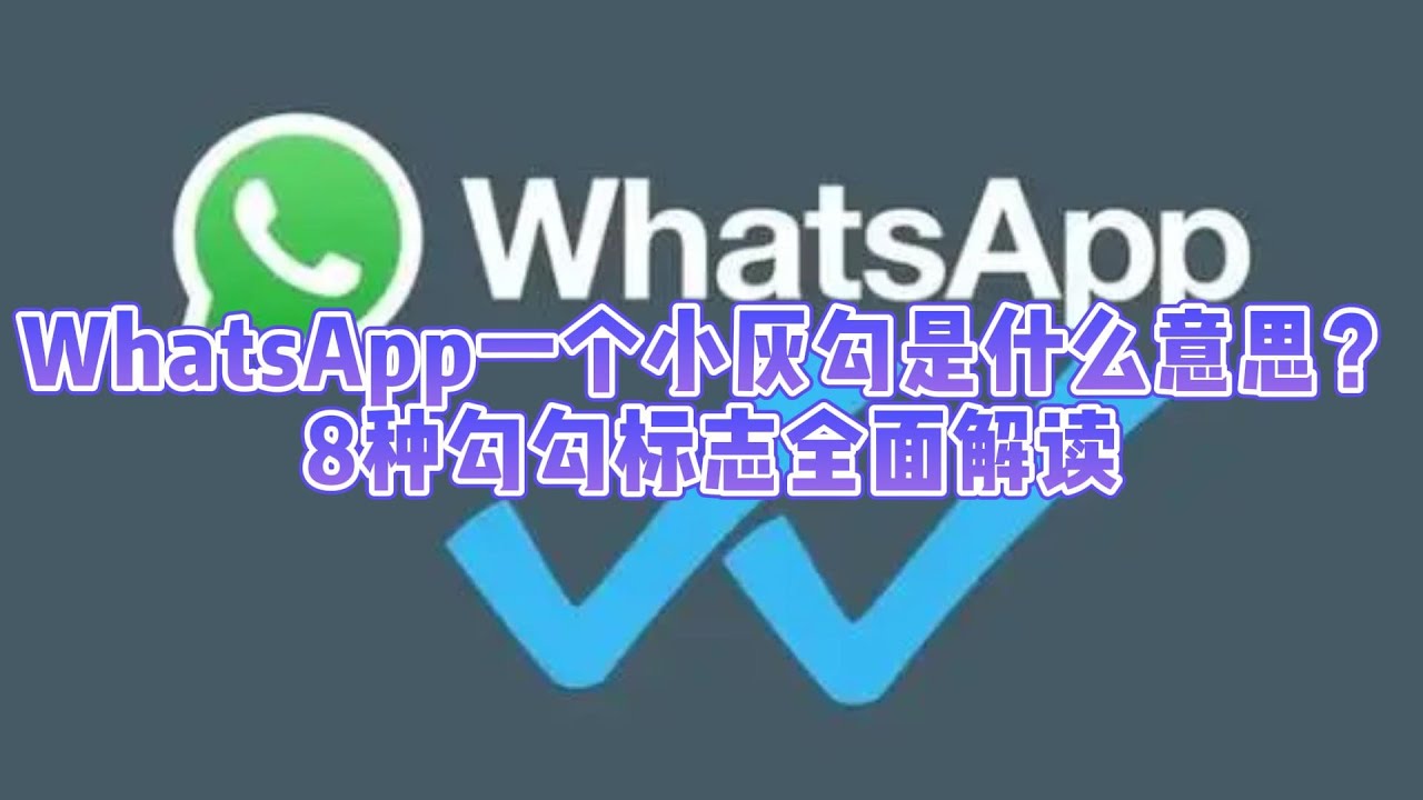 WhatsApp只有一个勾怎么办？