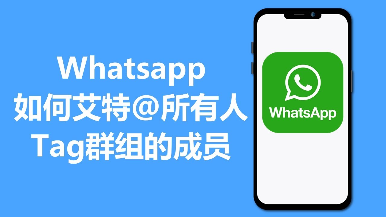 WhatsApp如何一键@所有人？