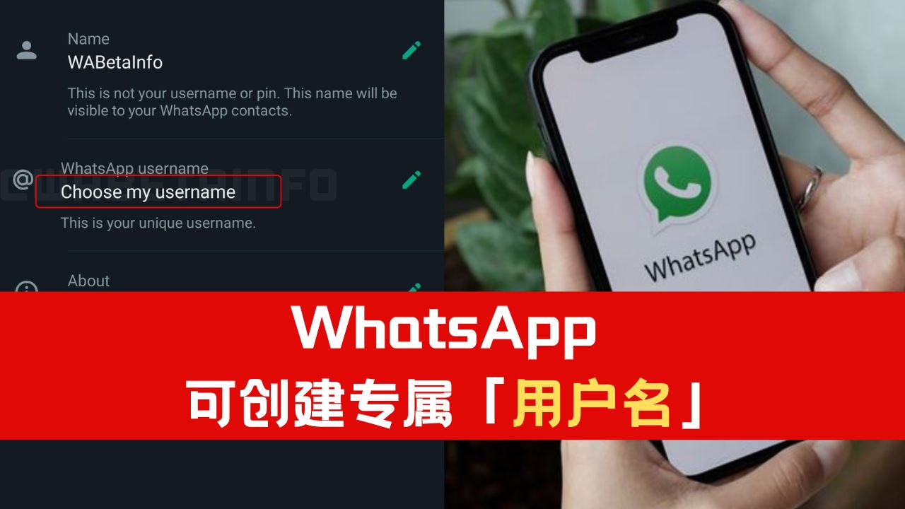 WhatsApp如何改名字？