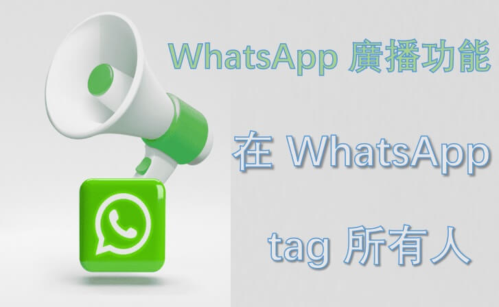 WhatsApp如何TAG？